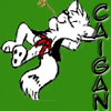 Caigan