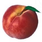 a peach